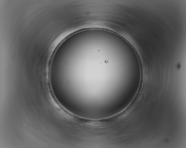 X0000116811388200912181334