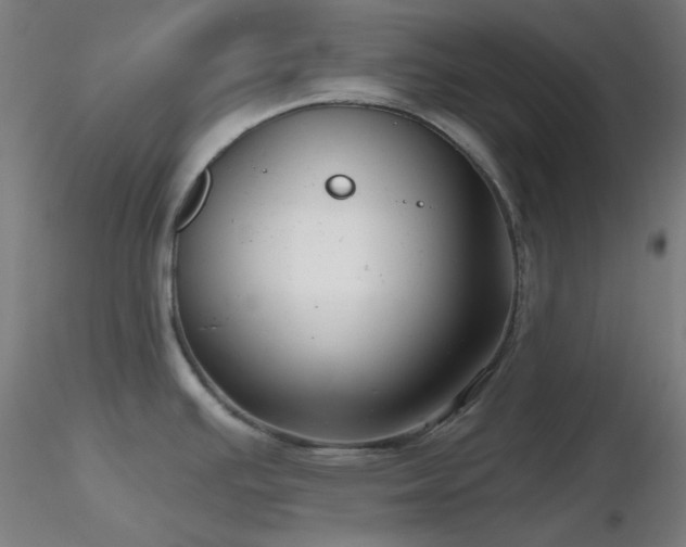 X0000116811391200912181334