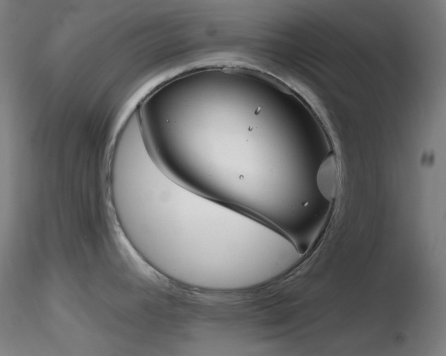 X0000116811392200912181334