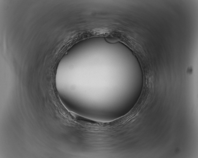 X0000116811393200912181333