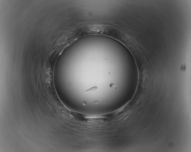 X0000116811394200912181333