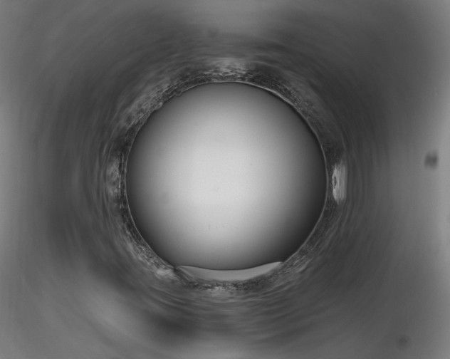 X0000116811395200912181333