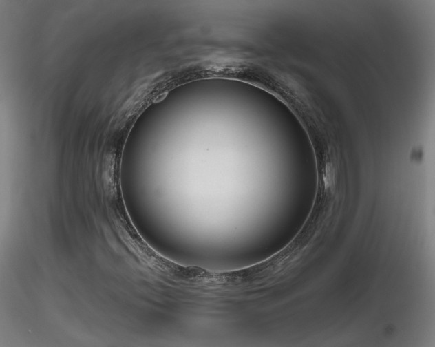 X0000116811396200912181333