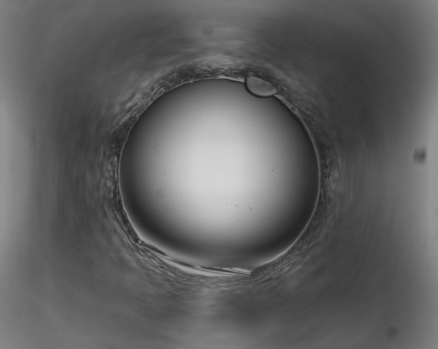 X0000116811397200912181333