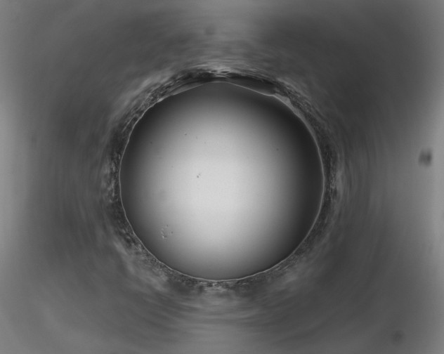 X0000116811398200912181333