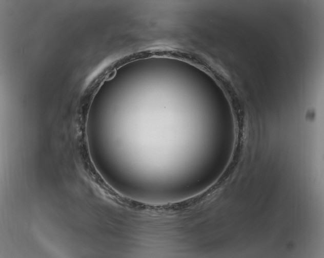 X0000116811400200912181333