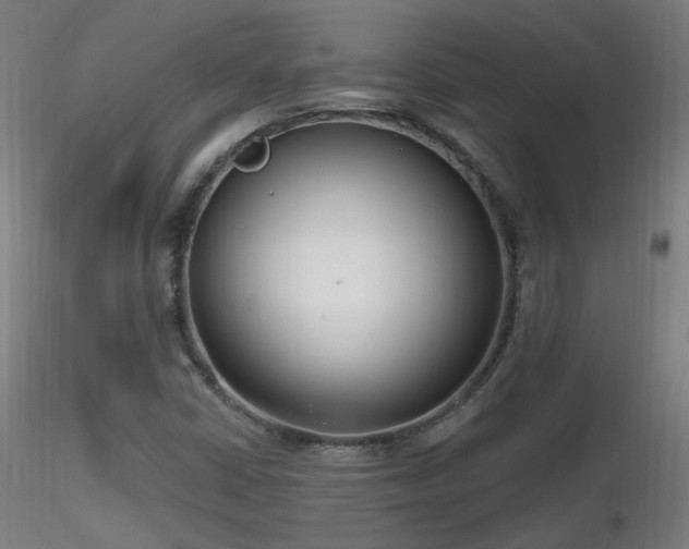 X0000116811402200912181333