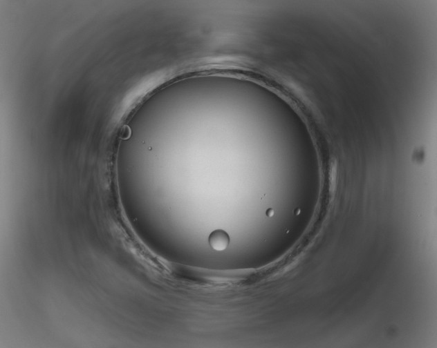 X0000116811405200912181333