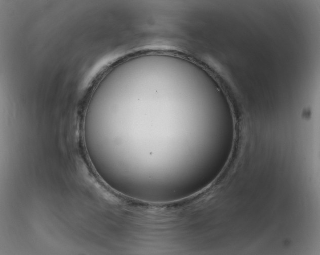 X0000116811408200912181333