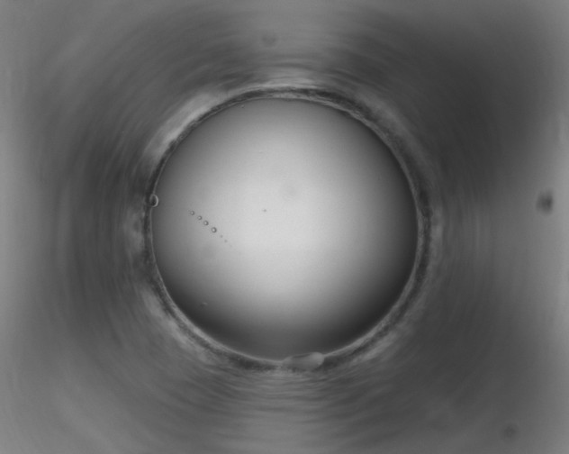 X0000116811409200912181333