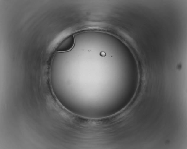 X0000116811411200912181333
