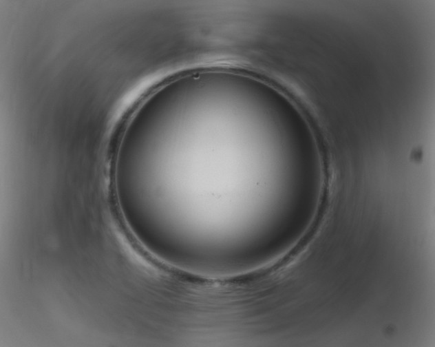 X0000116811414200912181333