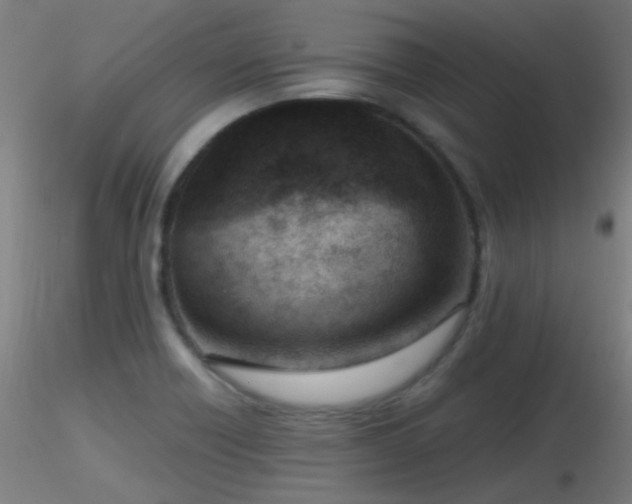 X0000116811418200912181333