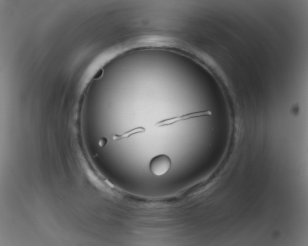 X0000116811421200912181333