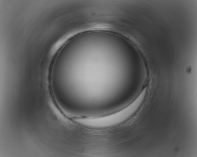 X0000116811422200912181333