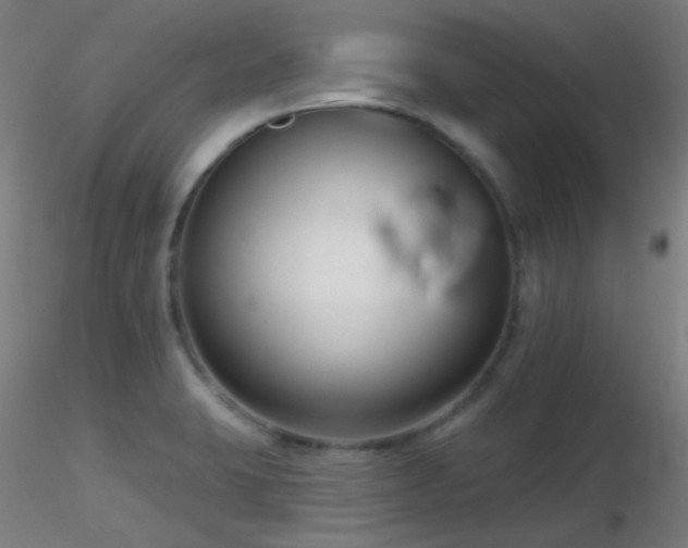 X0000116811423200912181333