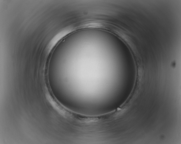X0000116811426200912181334