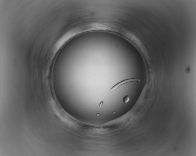 X0000116811427200912181334