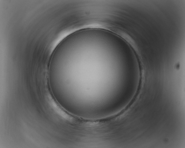 X0000116811428200912181334