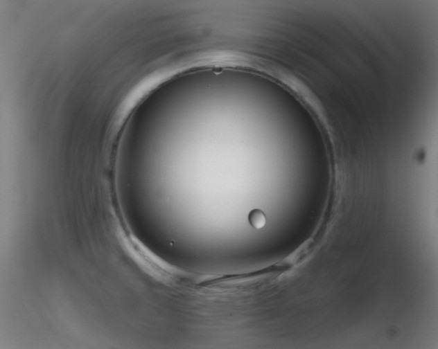 X0000116811429200912181334