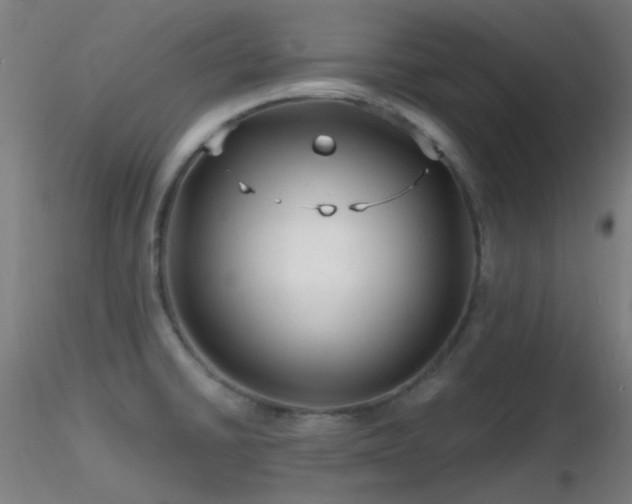 X0000116811430200912181334