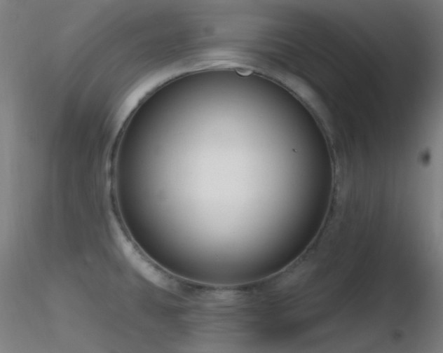 X0000116811431200912181334