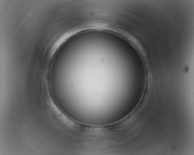 X0000116811432200912181334