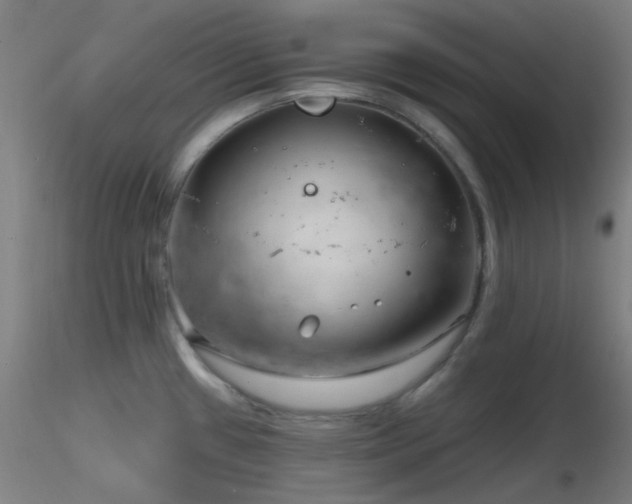X0000116811433200912181334