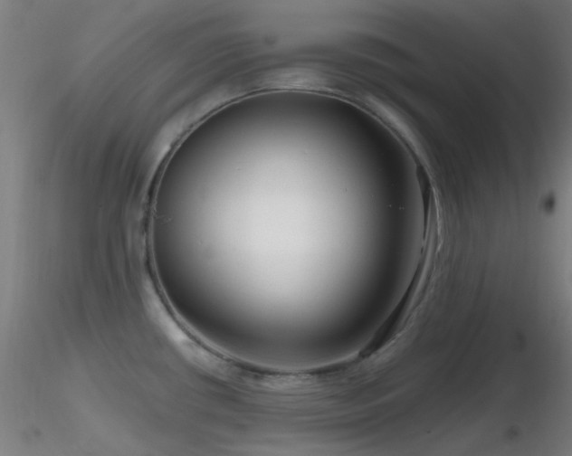 X0000116811434200912181334