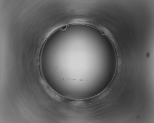 X0000116811435200912181334