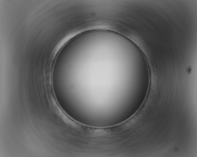 X0000116811436200912181334