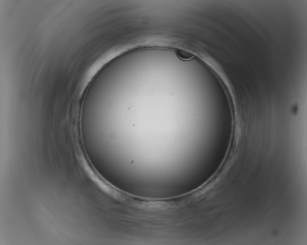 X0000116811437200912181334