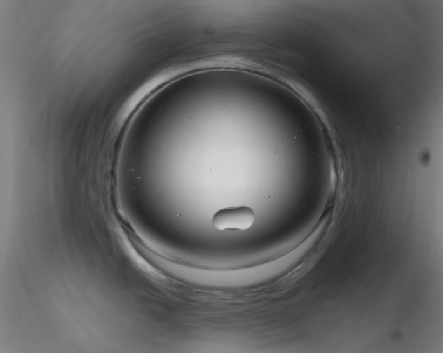X0000116811438200912181334