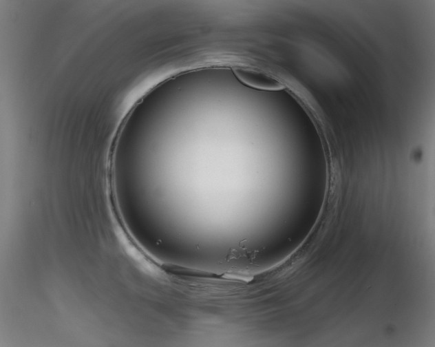 X0000116811439200912181334