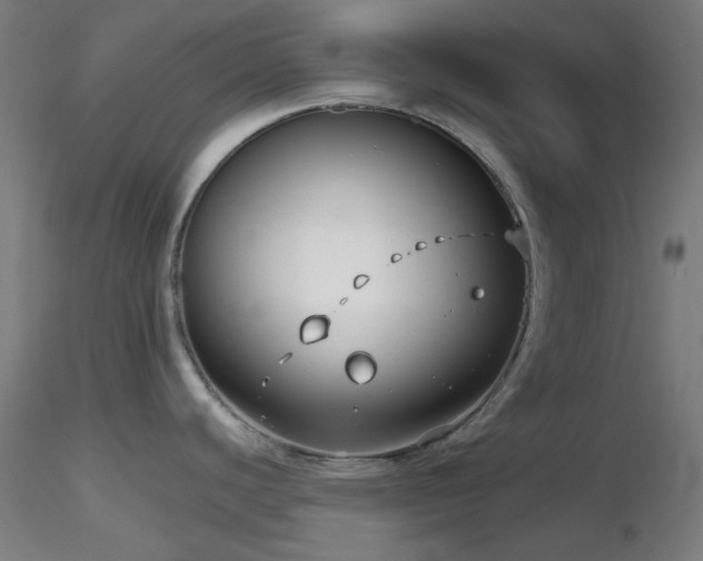 X0000116811440200912181334