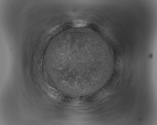 X0000116811441200912181333