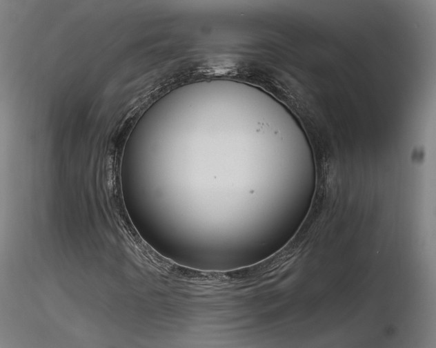 X0000116811442200912181333