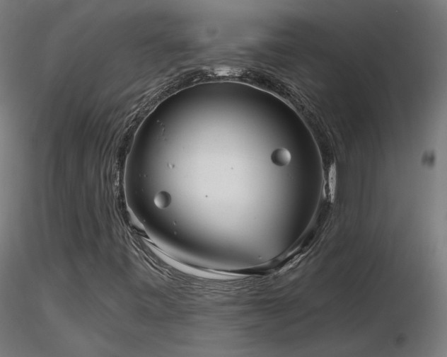 X0000116811443200912181333