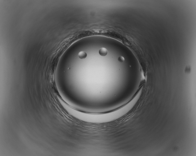 X0000116811444200912181333