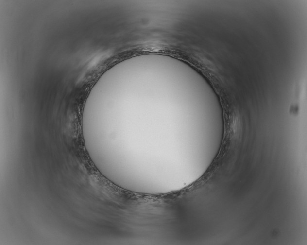 X0000116811446200912181333