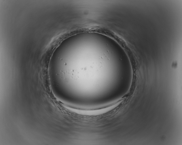 X0000116811447200912181333