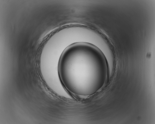 X0000116811448200912181333