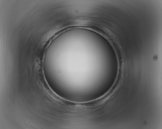 X0000116811449200912181333