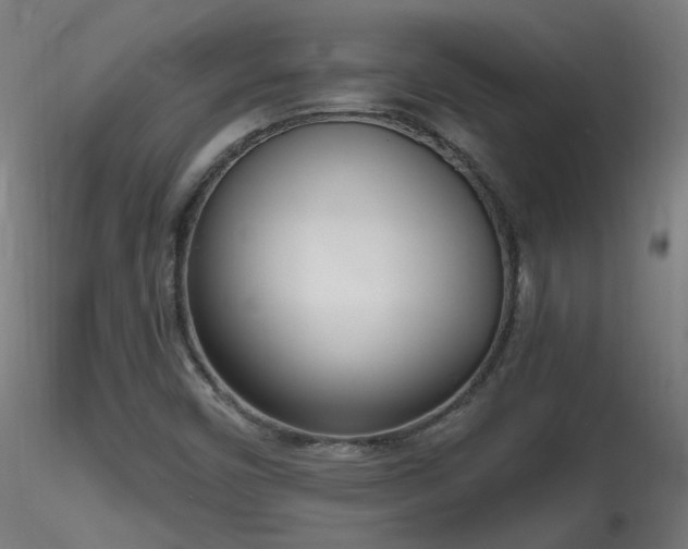 X0000116811450200912181333