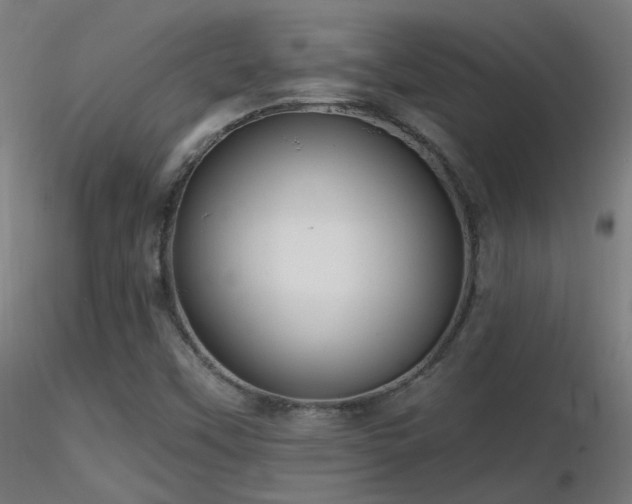 X0000116811451200912181333
