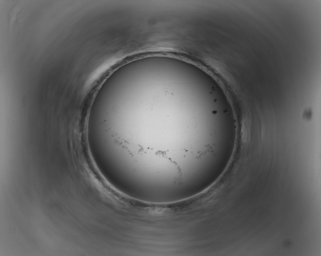 X0000116811452200912181333