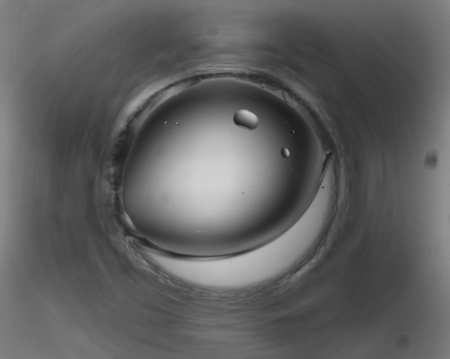 X0000116811453200912181333