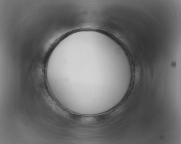X0000116811454200912181333