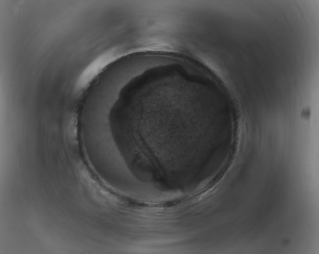 X0000116811455200912181333