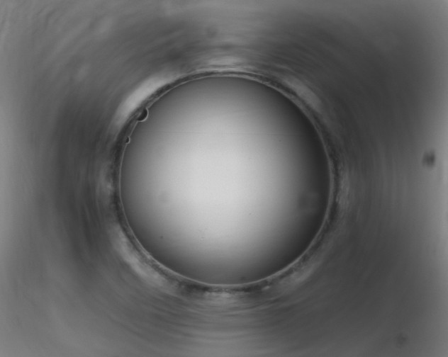 X0000116811458200912181333
